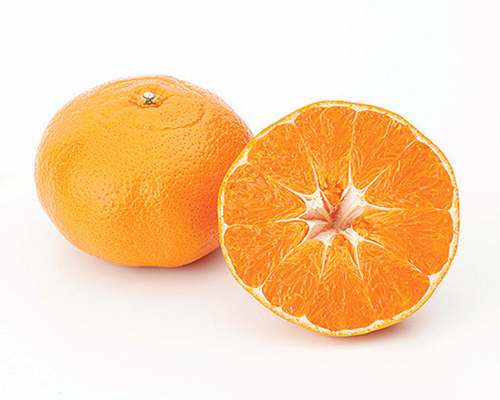 甘平・愛媛Queenスプラッシュ