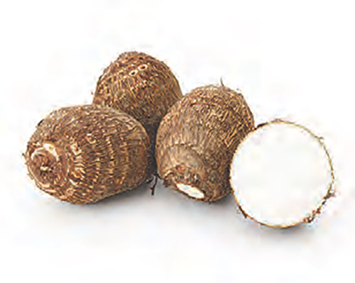 伊予美人（さといも）