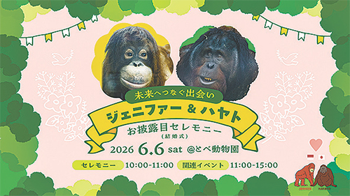 ジェニファー&ハヤトお披露目セレモニー