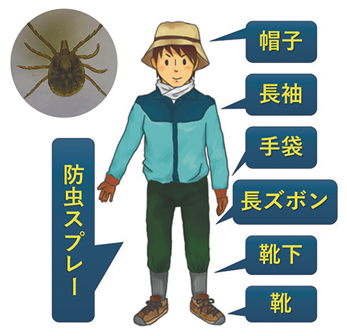 マダニによる感染症にご注意ください!