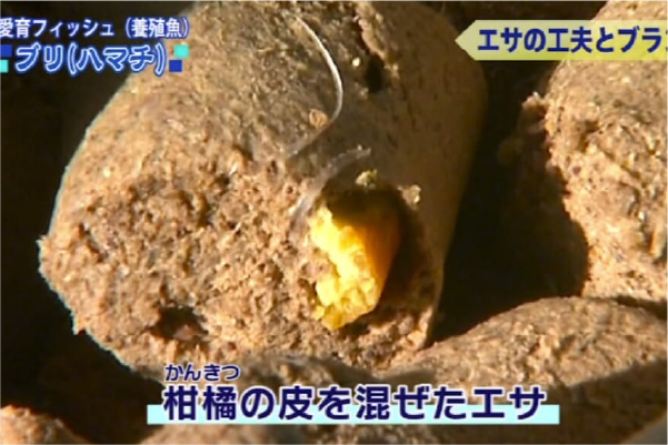 Introducing Japanese Yellowtail Essenced with Mandarin Orange