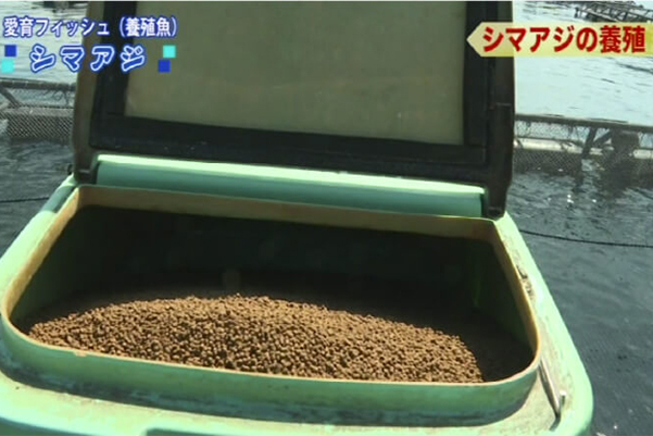 Developing an Environmentally Friendly Diet”