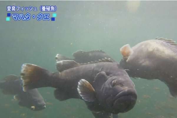 Décennies de recherche et de développements technologiques”