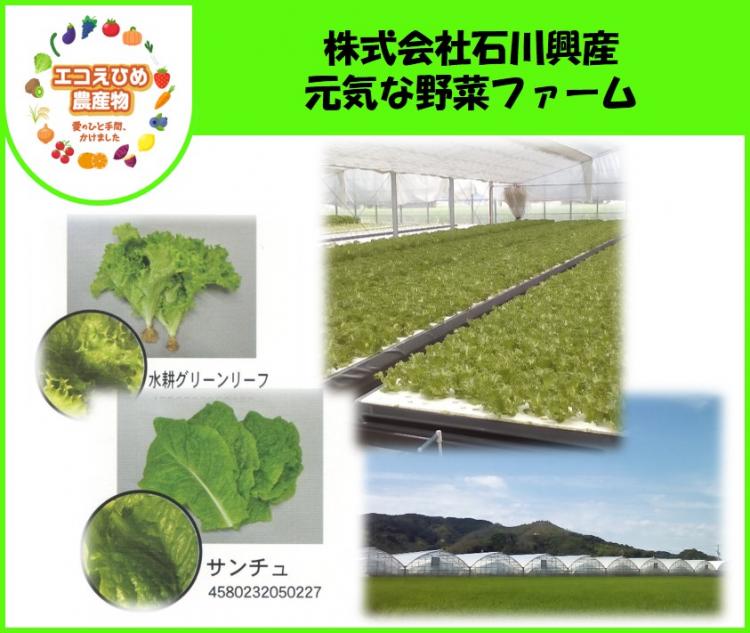 株式会社石川興産　元気な野菜ファームの画像