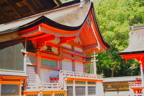大山祇神社本殿(宝殿)の画像