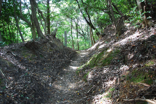 伊予遍路道（仏木寺道）の画像1