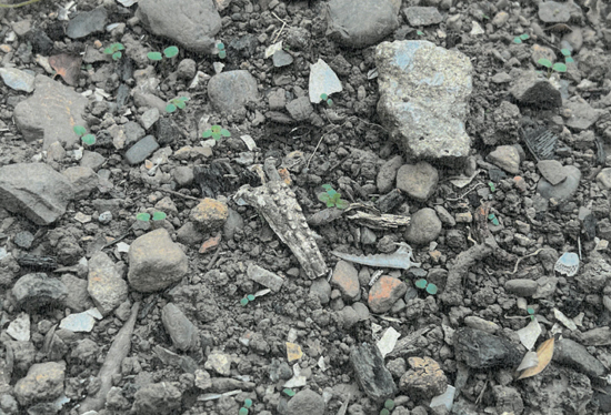 平城貝塚の画像2