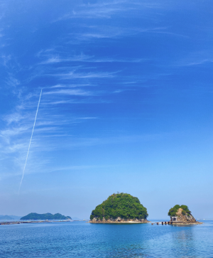 宇和島市　九島