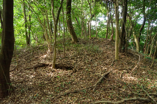 伊予岡古墳の画像2