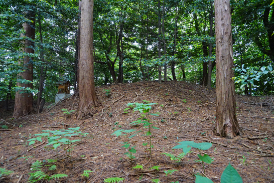 船山古墳群の画像2