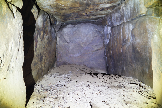 川上神社古墳の画像1