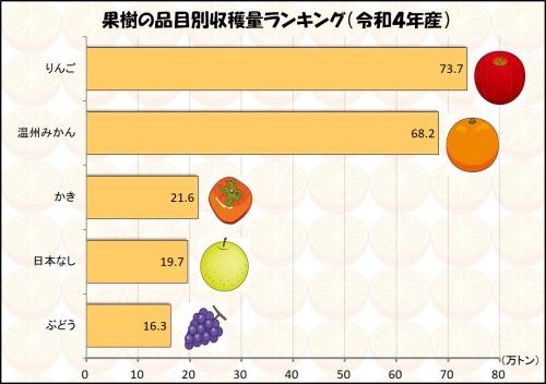 果樹の品目別収穫量ランキング (令和4年産)の画像