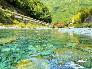 加茂川