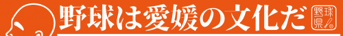 野球は愛媛の文化だ