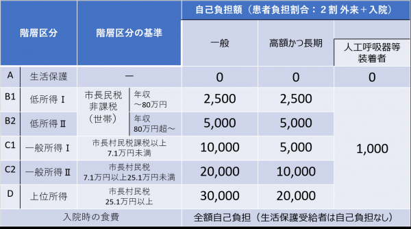 自己負担額図