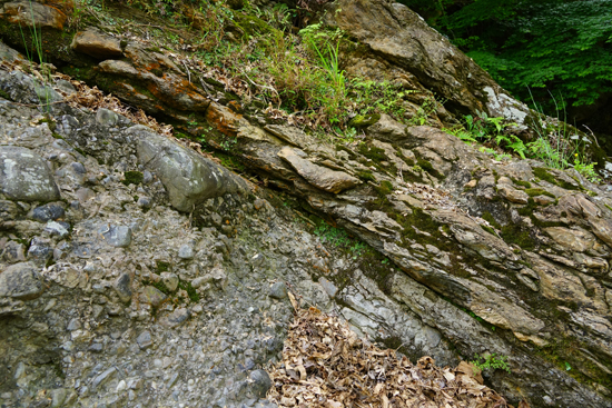 砥部衝上断層の画像3