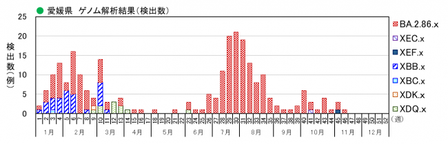 ゲノム解析結果（検出数）