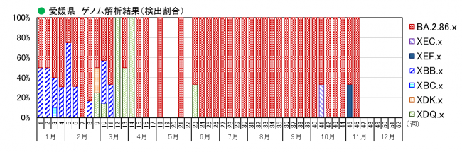 ゲノム解析結果（割合）