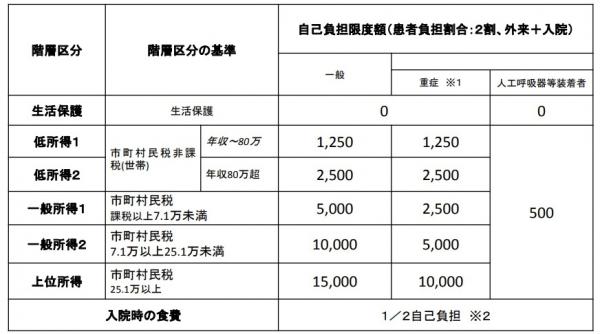 自己負担上限額