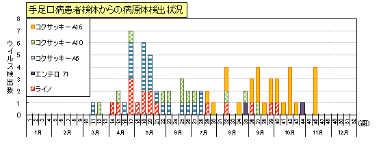 手足口病患者検体からのウイルス検出状況