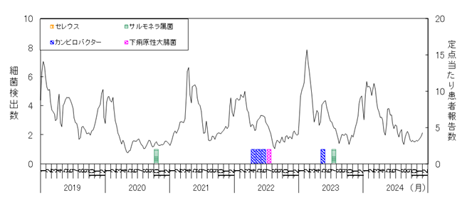 細菌月別検出数の推移