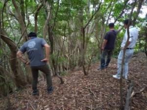 イノシシの侵入経路について確認