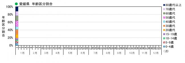 年齢別（割合）