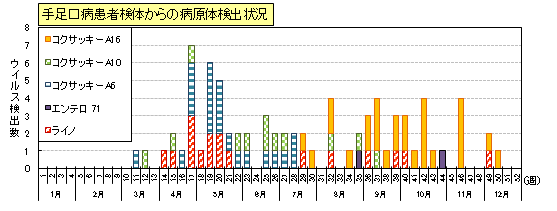 手足口病患者検体からのウイルス検出状況