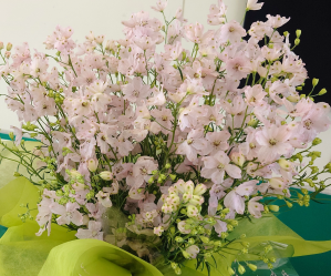 さくらひめ花かご