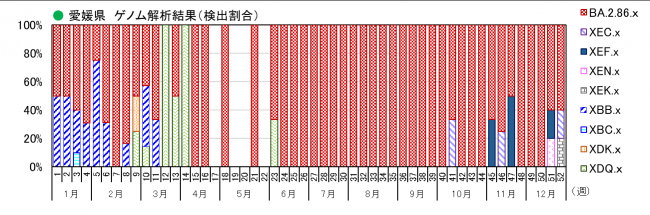 ゲノム解析結果（割合）