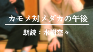 R6一般