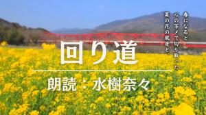 R5一般