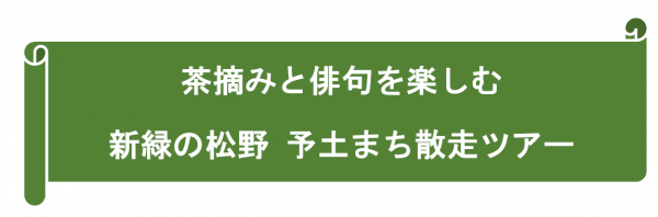 テーマ（松野）