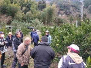 せん定のポイントの説明