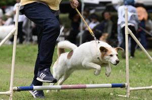 大きくジャンプ！