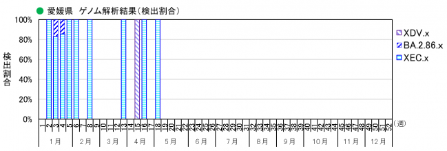 ゲノム解析結果（割合）