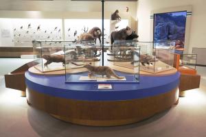 宝くじ（博物館①）