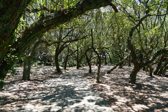 須賀の森の画像2