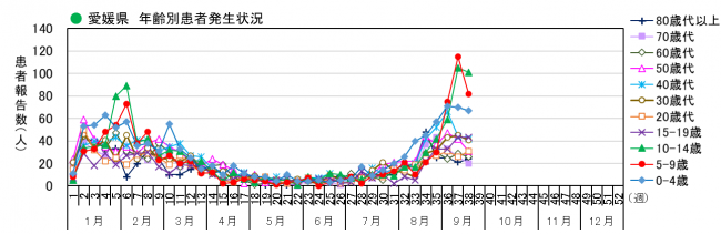 年齢別