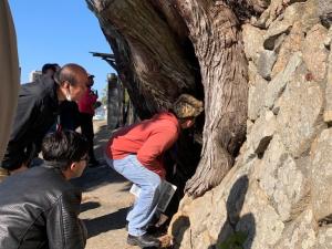 潮音寺（ビャクシン）