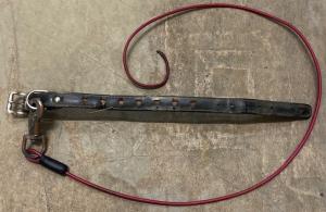 迷い犬１２月２３日　柴風　おす　西条　黒色首輪、ちぎれたリード