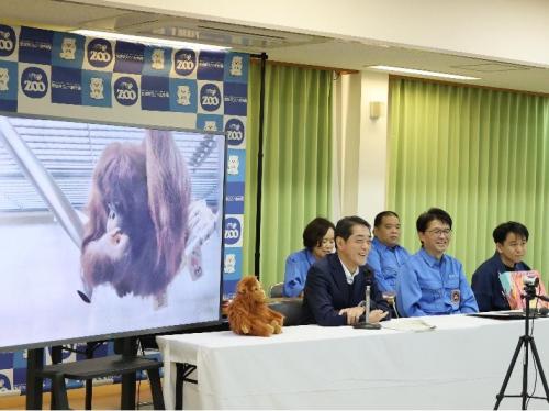 12月22日（月曜日）オランウータン「ジェニファー」お迎えセレモニー（県立とべ動物園）