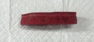 ２月３日　迷い猫　東温市田窪　布製赤首輪　まっちゃと記載あり