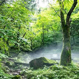 えひめの文化財インスタグラム画像3