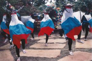 窪野の八つ鹿踊の画像