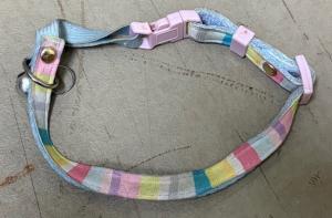 迷い猫3月13日御荘平城 長毛キジオス 青地虹色首輪