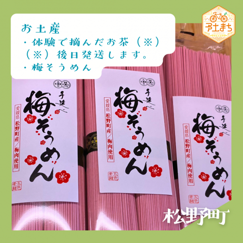 おみやげ