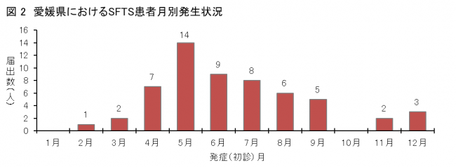 発生時期