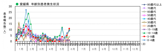 年齢別