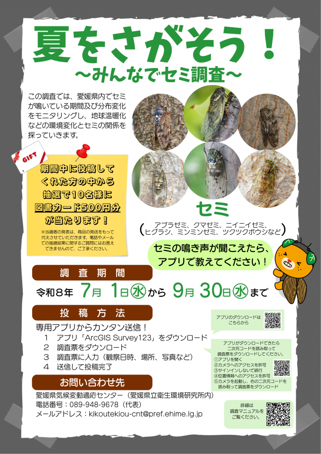 セミ調査の概要ポスター